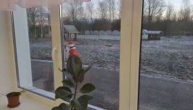 День рождения Деда Мороза