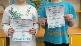 Онлайн викторина по экологии
