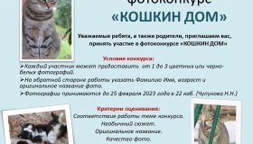Фотоконкурс "Кошкин дом"