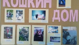 Фотовыставка "КОШКИН ДОМ"